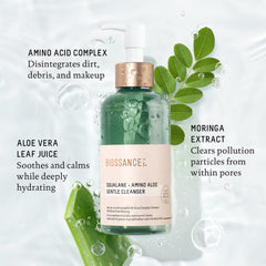 BIOSSANCE Moringa extract pore detox close-up indicating purifying cleanse.