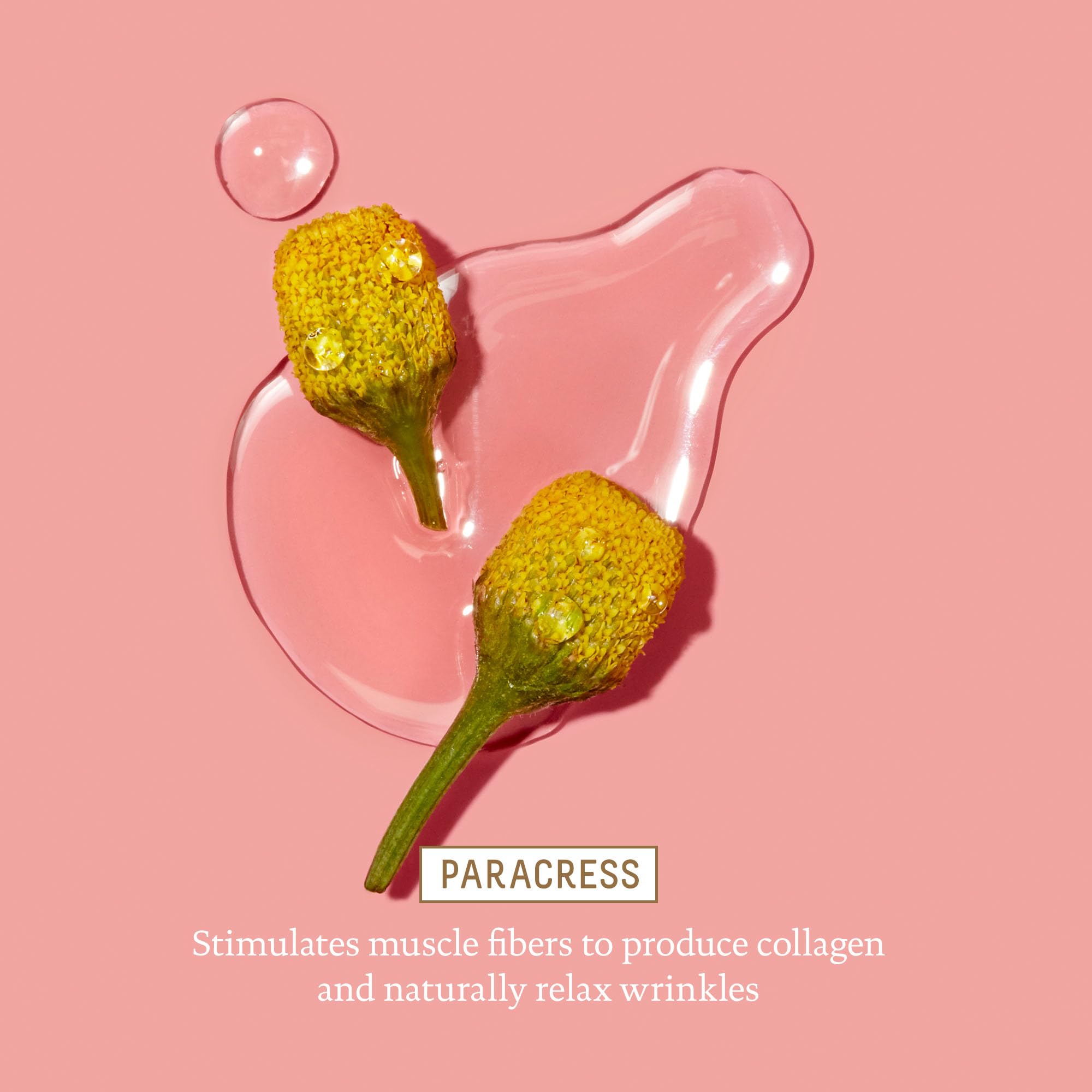 BIOSSANCE formula uses hyaluronic acid for immediate moisture