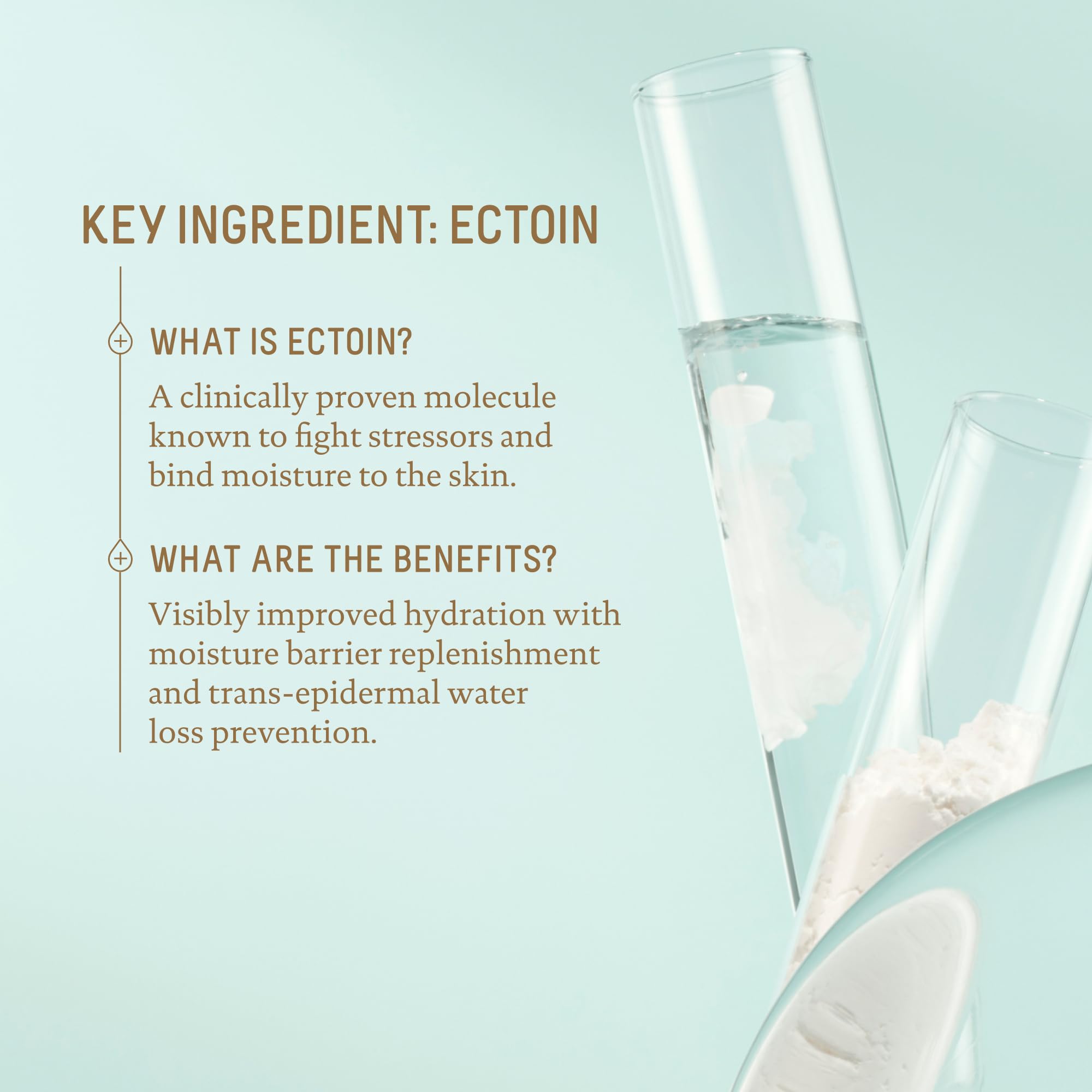 Biossance Squalane Zinc sunscreen ingredients diagram, noting ectoin and butterfly ginger