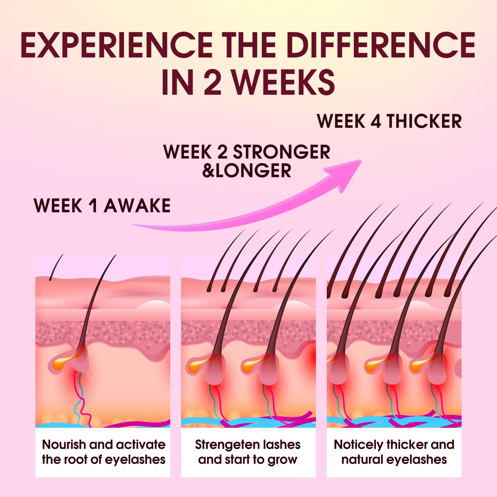 BIYSBER lash serum daily-use action applying along lash line