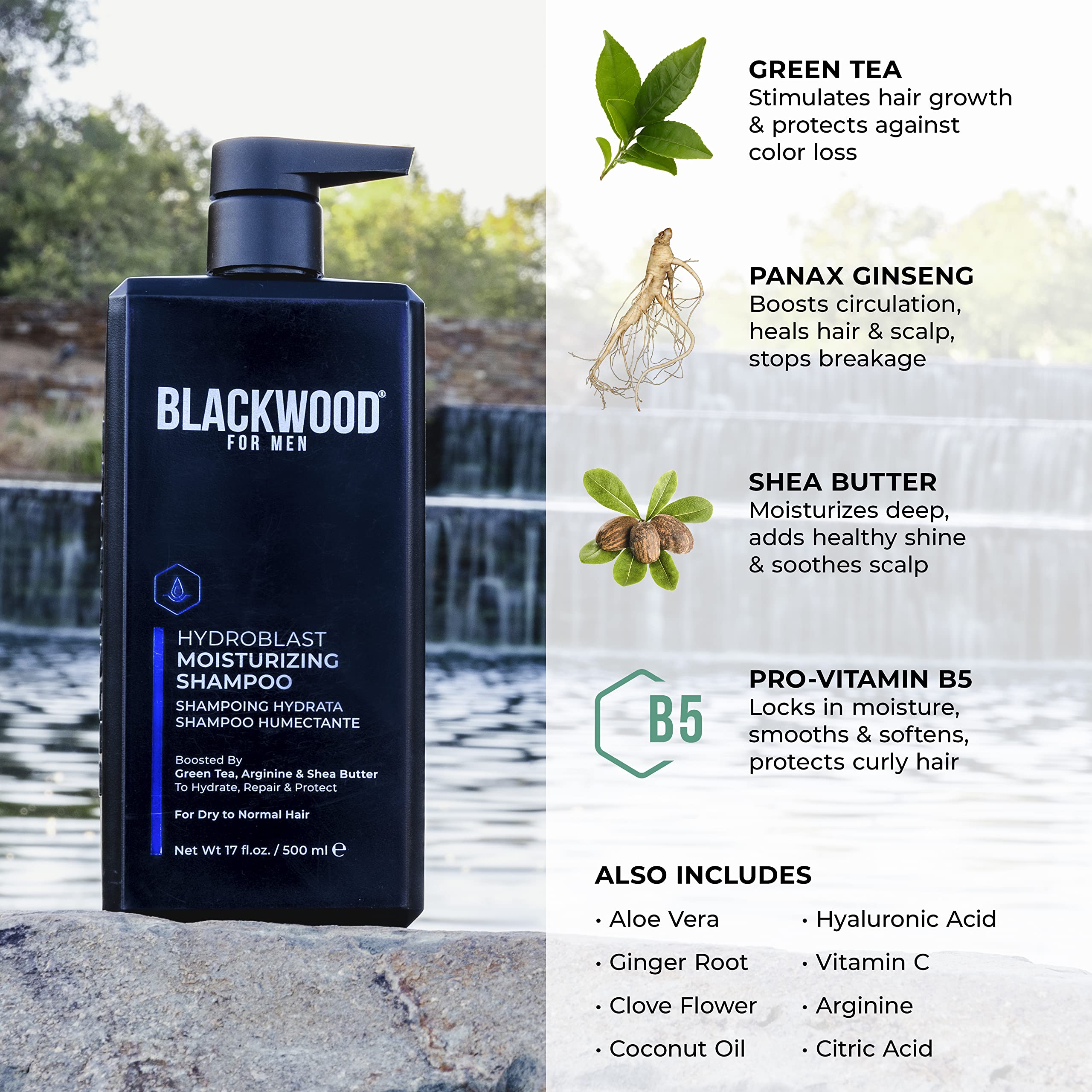 Blackwood For Men Hydroblast ginger-root highlights invigorating scalp care and moisture boost