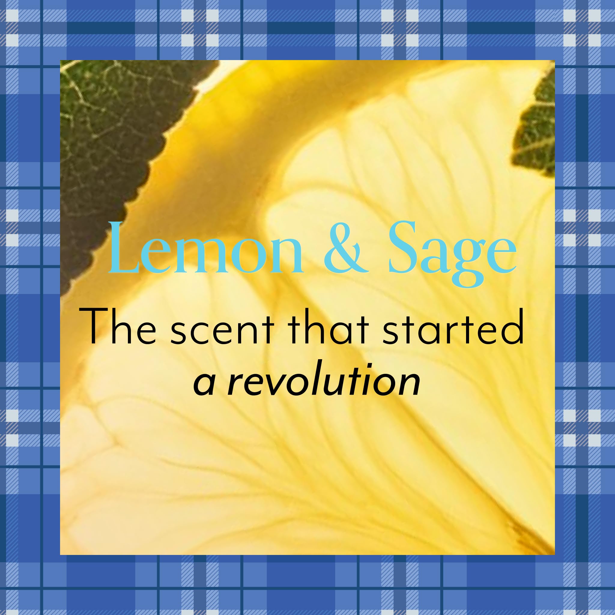 Bliss Gilmore Girls Lemon & Sage bottle with pump ready to use