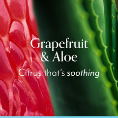 Bliss Grapefruit Aloe Body Butter application on arm demonstrates quick absorption and non-greasy finish