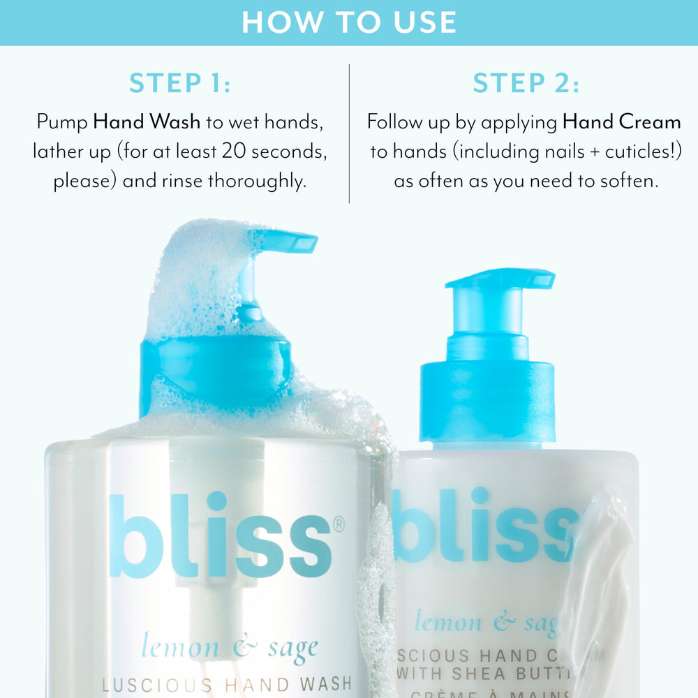 Bliss Lemon & Sage Hand Wash ingredient aloe highlights soothing hydration