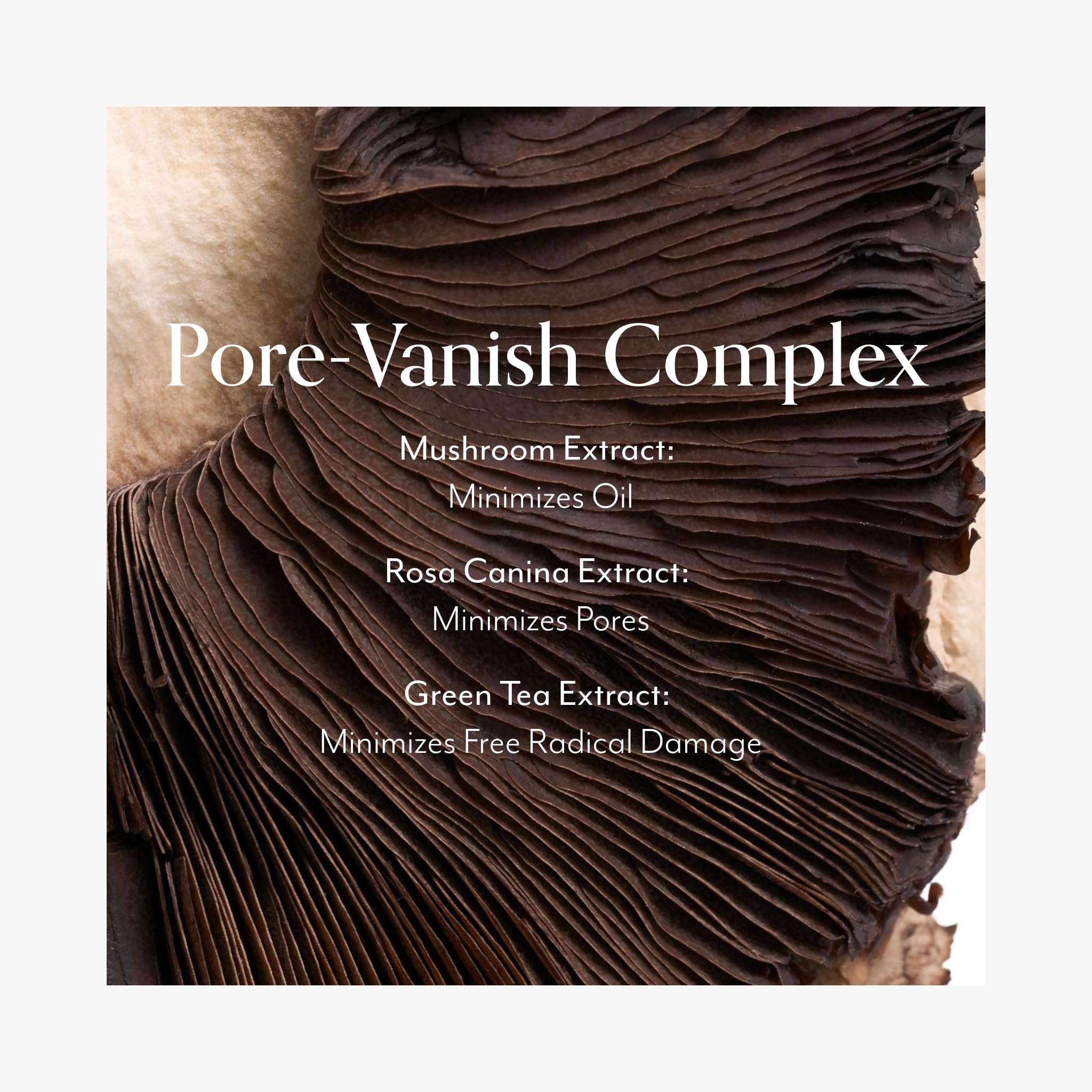Bliss Niacinamide rosa canina extract visual notes oil reduction and pore appearance minimization.