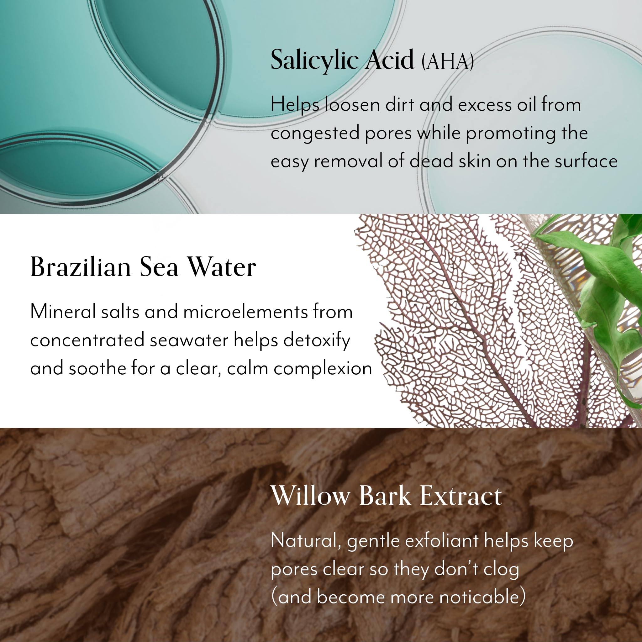 Bliss tea tree scent application demonstrates invigorating cleansing ritual.
