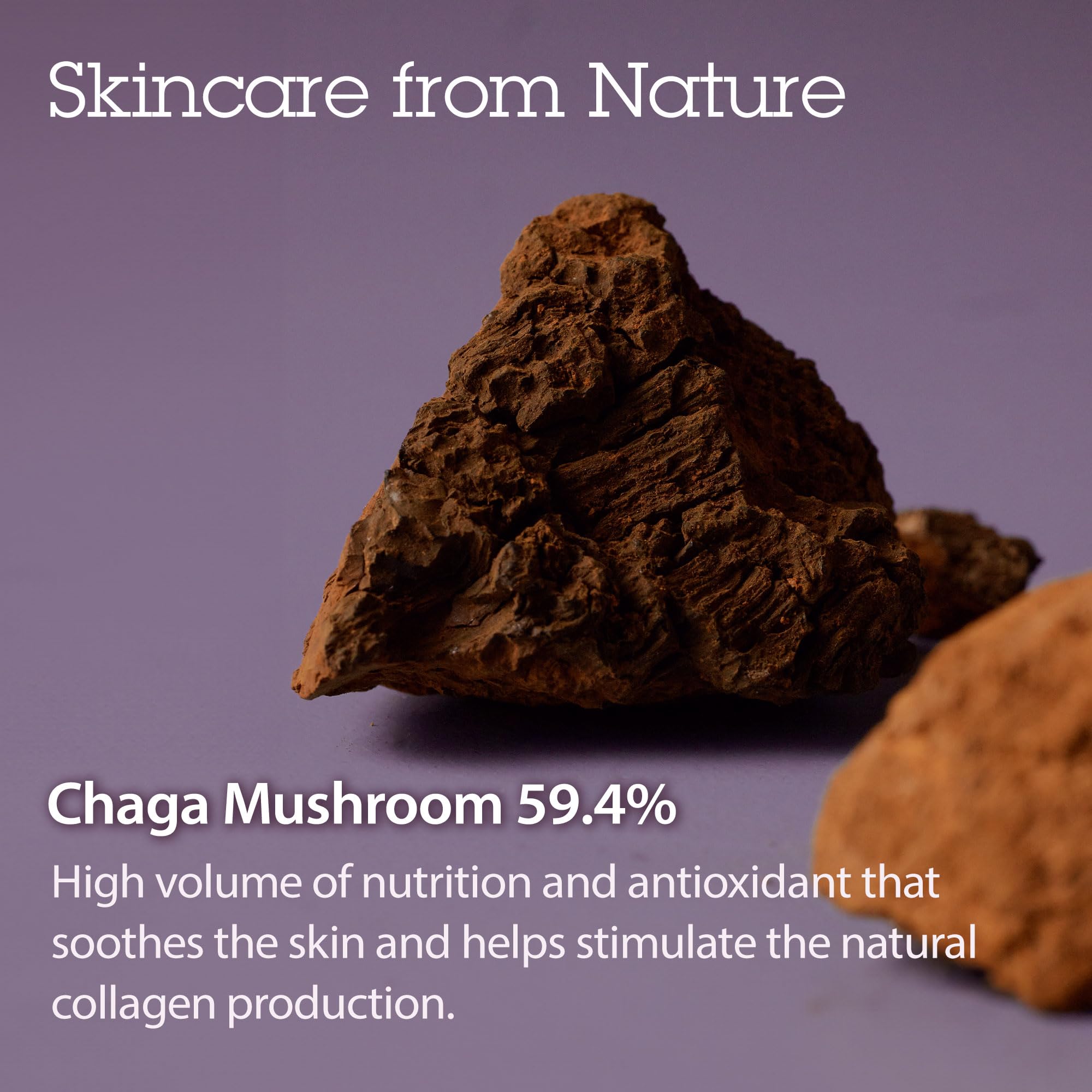 BLITHE Pressed Serum Tundra Chaga gift set emphasizes thoughtful skincare gift idea