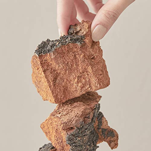 BLITHE Pressed Serum Tundra Chaga texture closeup reveals rich hydrating cream