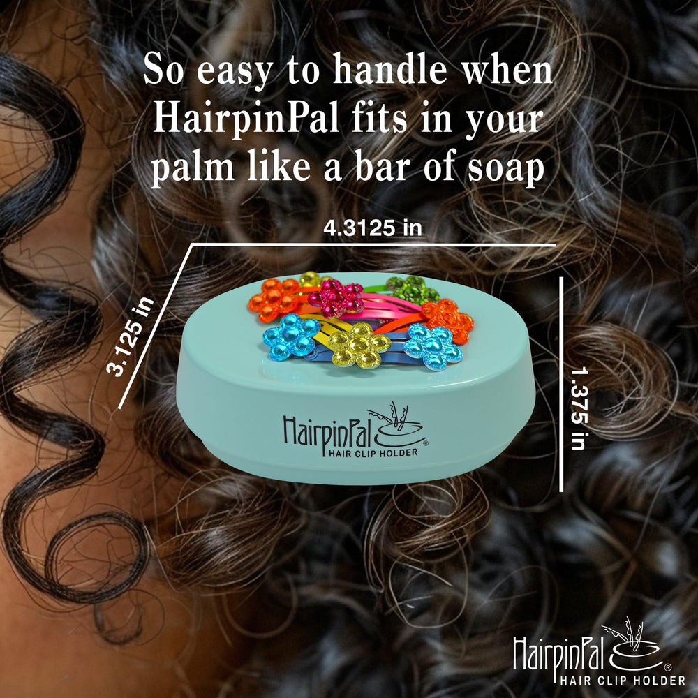 Blue Feather HairpinPal organized room scene with clutter-free counter