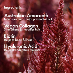 BONDIBOOST Thickening Shampoo ingredients close-up highlights biotin-amaranth-ceramide for nourishment