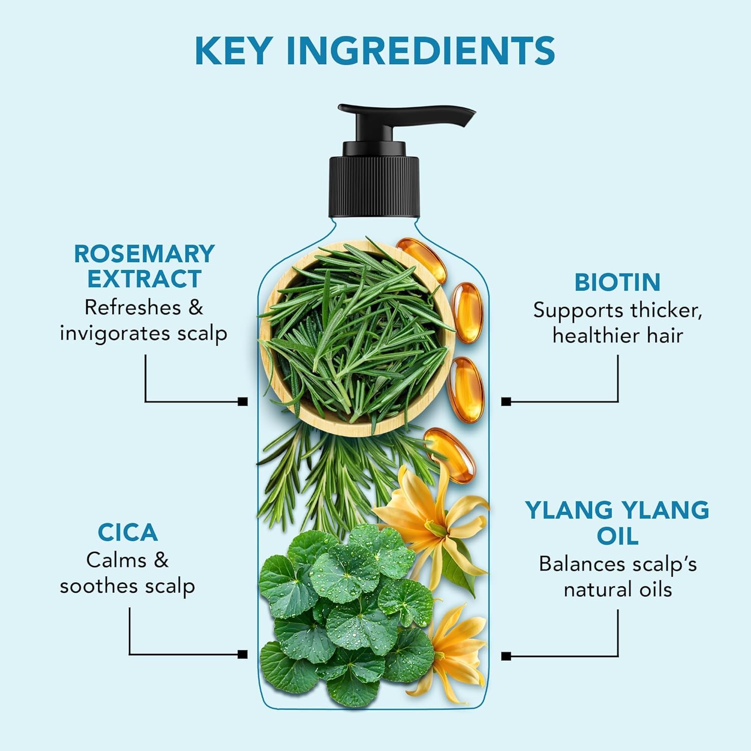 Botanic Hearth before and after hair showing fuller, thicker-looking benefit