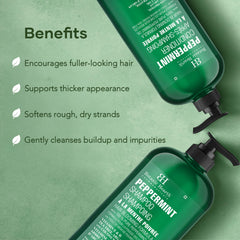 Botanic Hearth peppermint shampoo-conditioner set box display for family use
