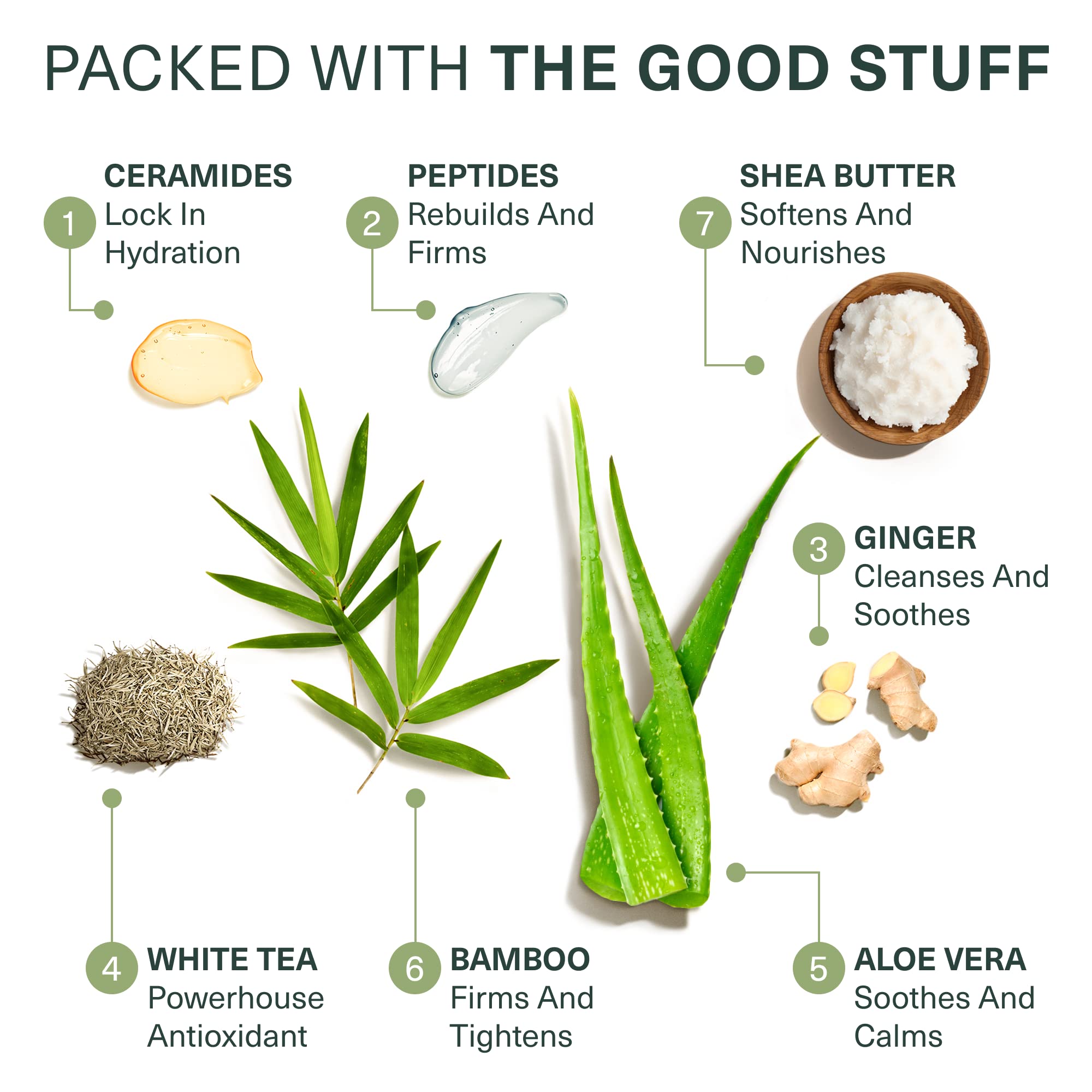 Botanic Tree Hydrating Glycolic Cleanser ingredients bamboo, shea butter, tea tree for nourishing exfoliation.