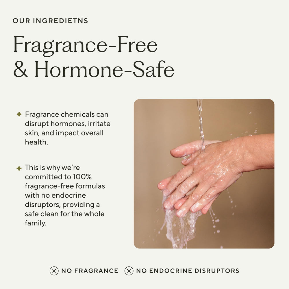 Branch Basics aloe chamomile meadowfoam ingredients highlight soothing, nourishing plant-based cleansing