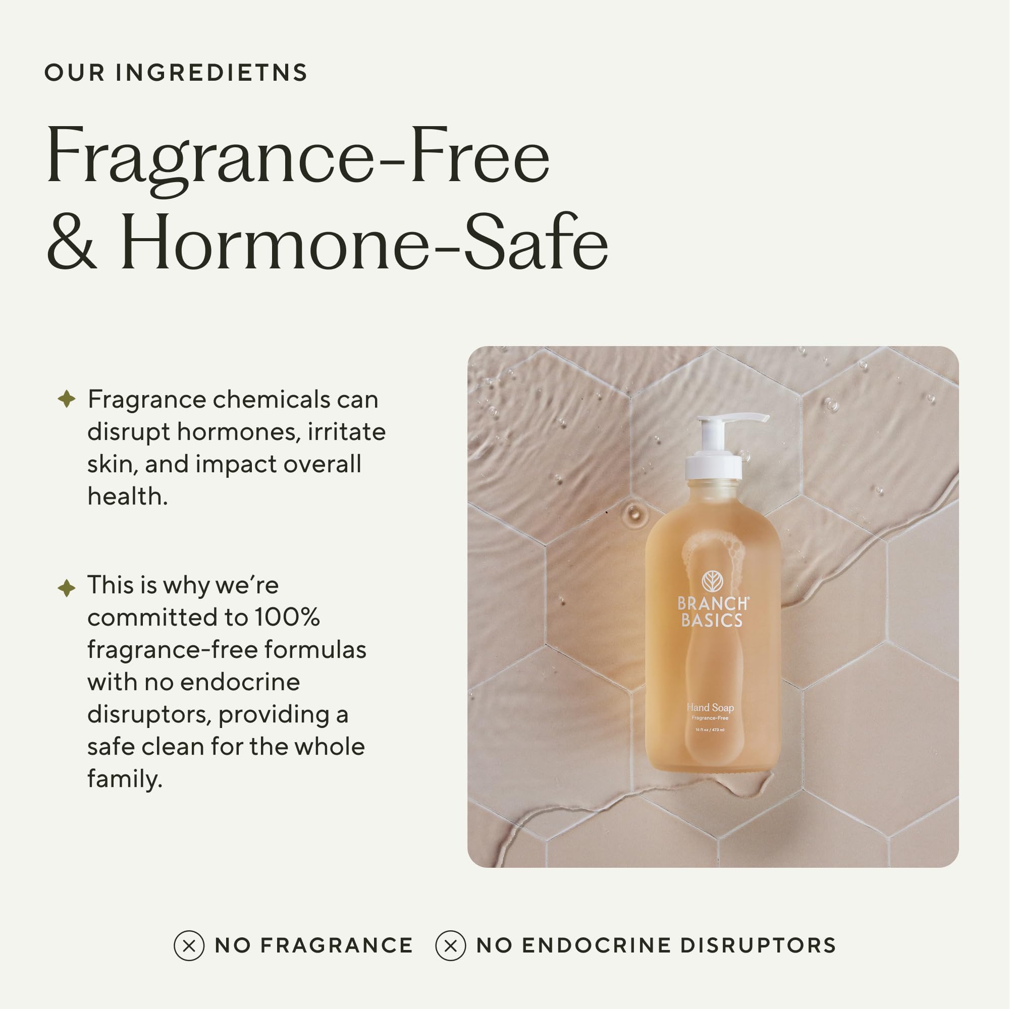 Branch Basics gel hand soap ingredients featuring aloe, chamomile, meadowfoam for hydration.