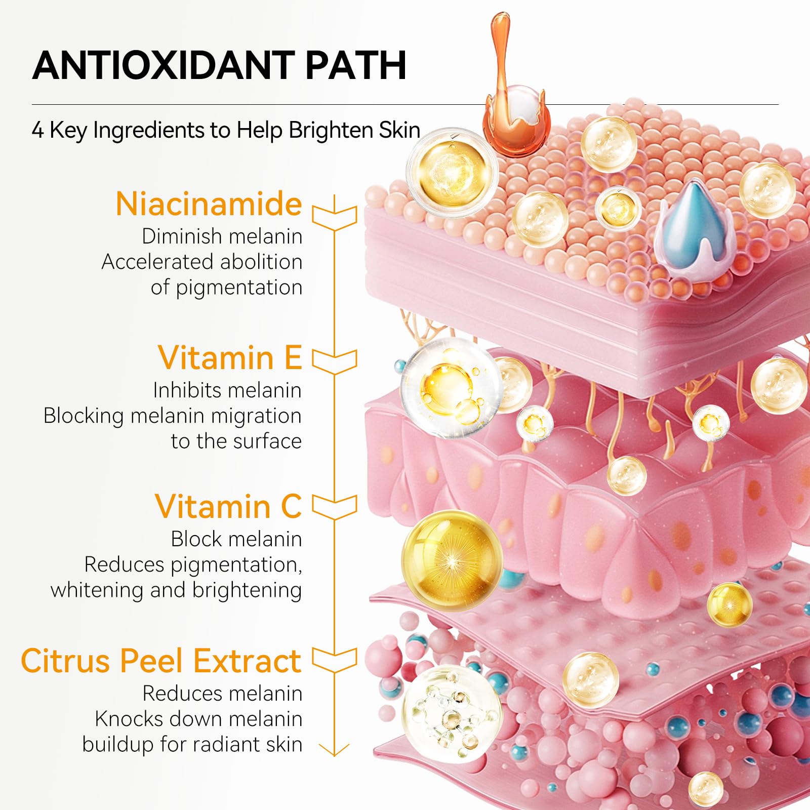 BREYLEE Vitamin C Serum eye area application reduces dullness around eyes