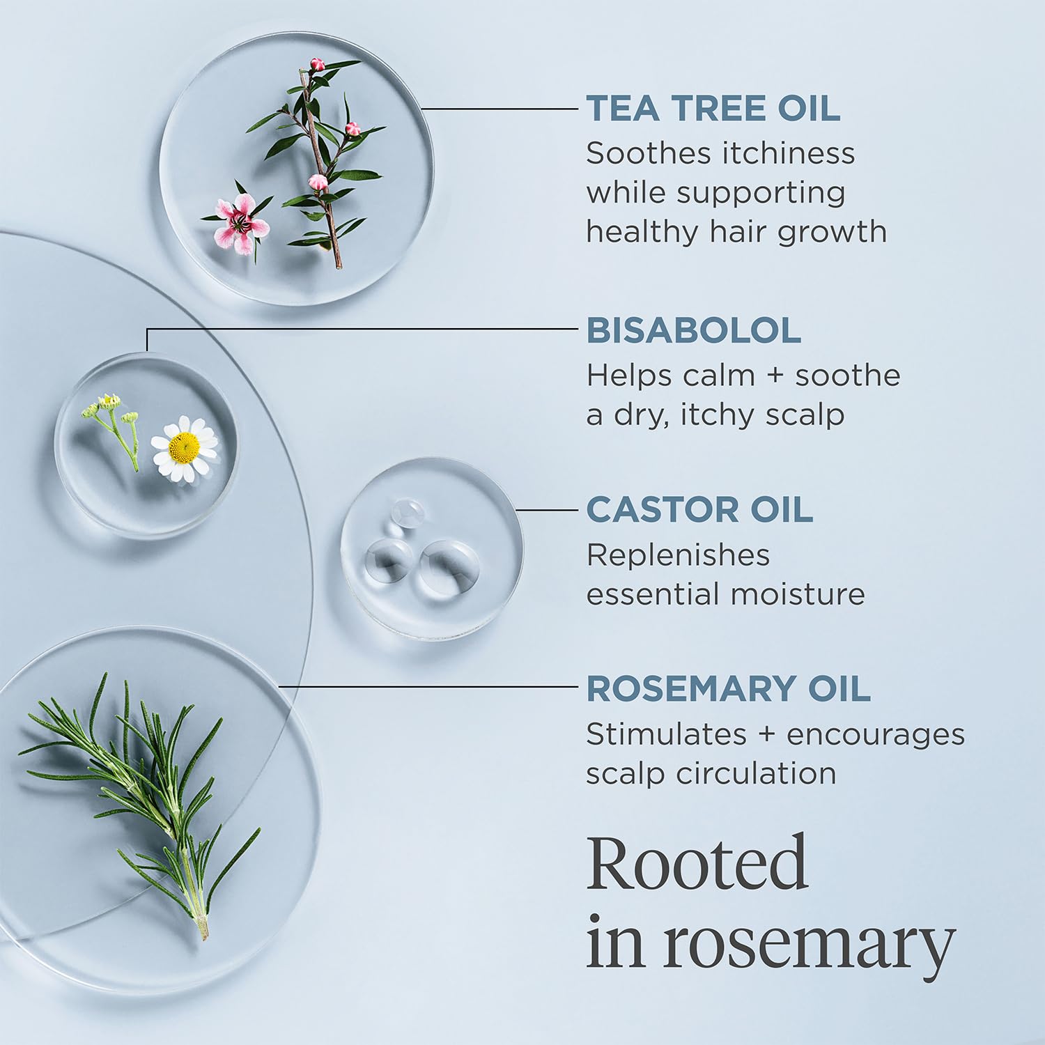 Briogeo Biotin strengthens strands icon near rosemary oil bottle