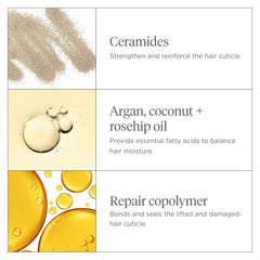 Ceramides and algae in Briogeo Don't Despair Repair nourish without buildup