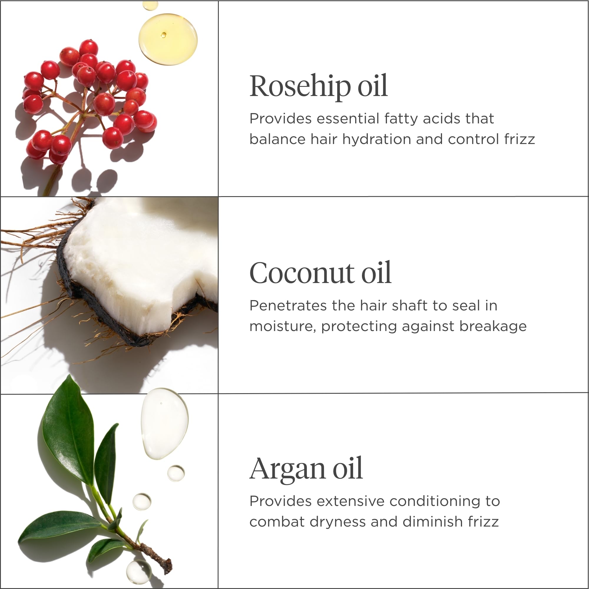 Briogeo Rosarco Milk with rosehip highlights moisture retention for smoother hair.