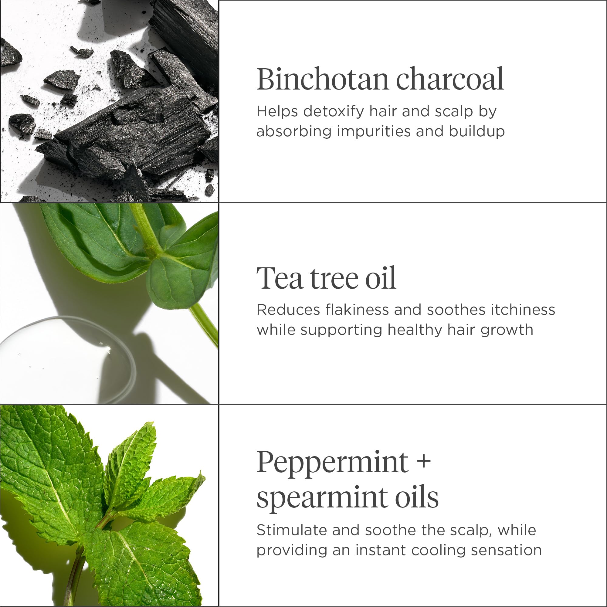 Briogeo Scalp Revival ingredients close-up demonstrates naturally derived formula.