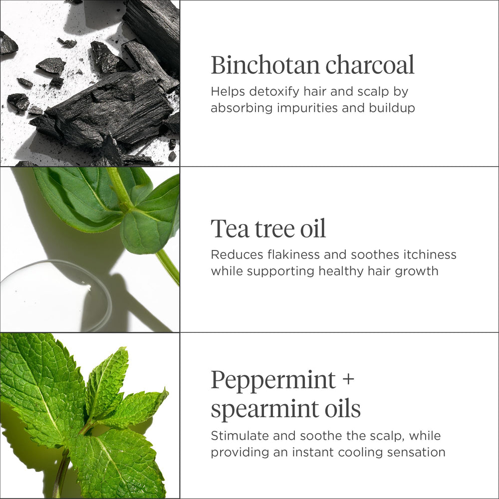 Briogeo Scalp Revival ingredients close-up demonstrates naturally derived formula.