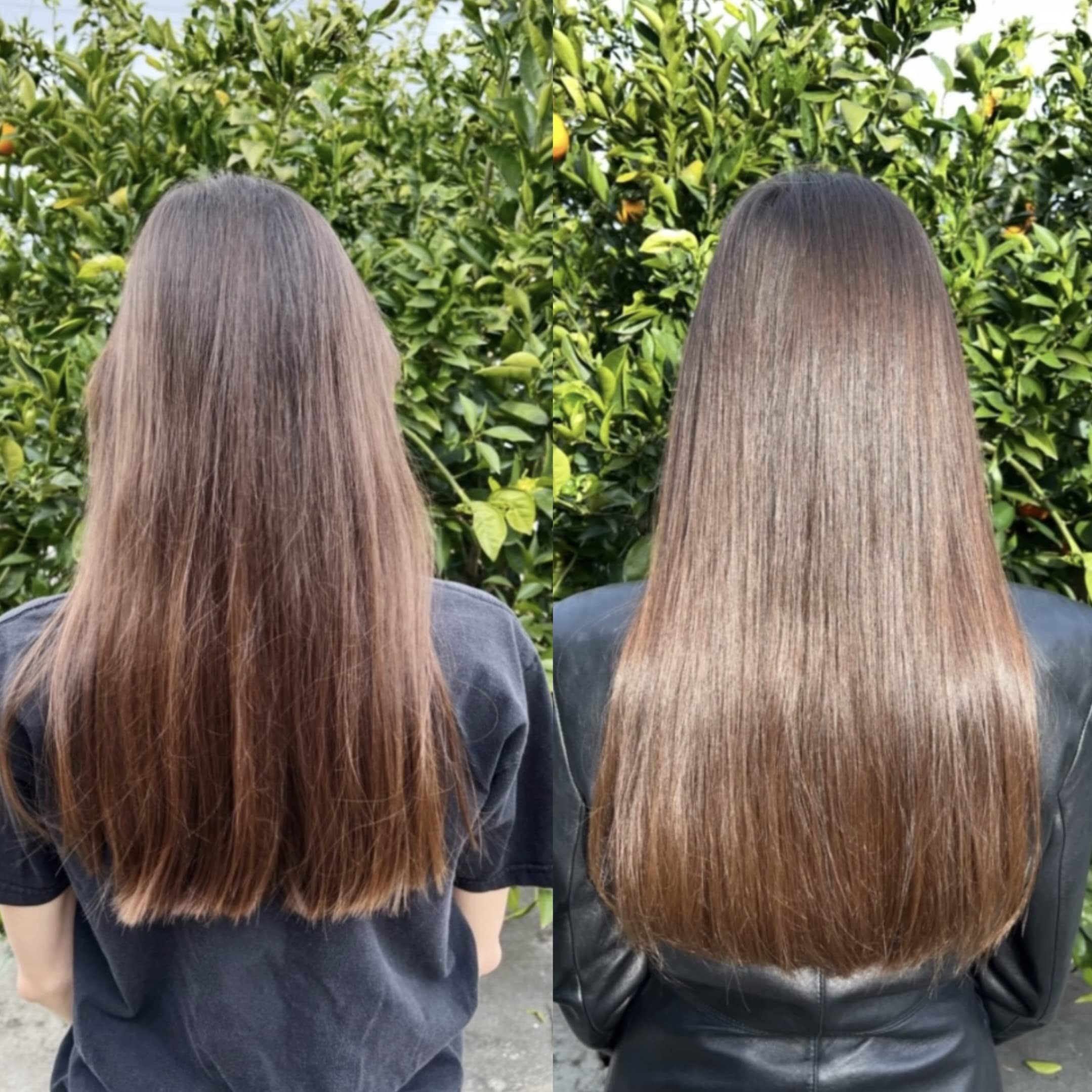 Bur Bur Growing Season Oil on dry hair shows how the oil helps soften and detangle.