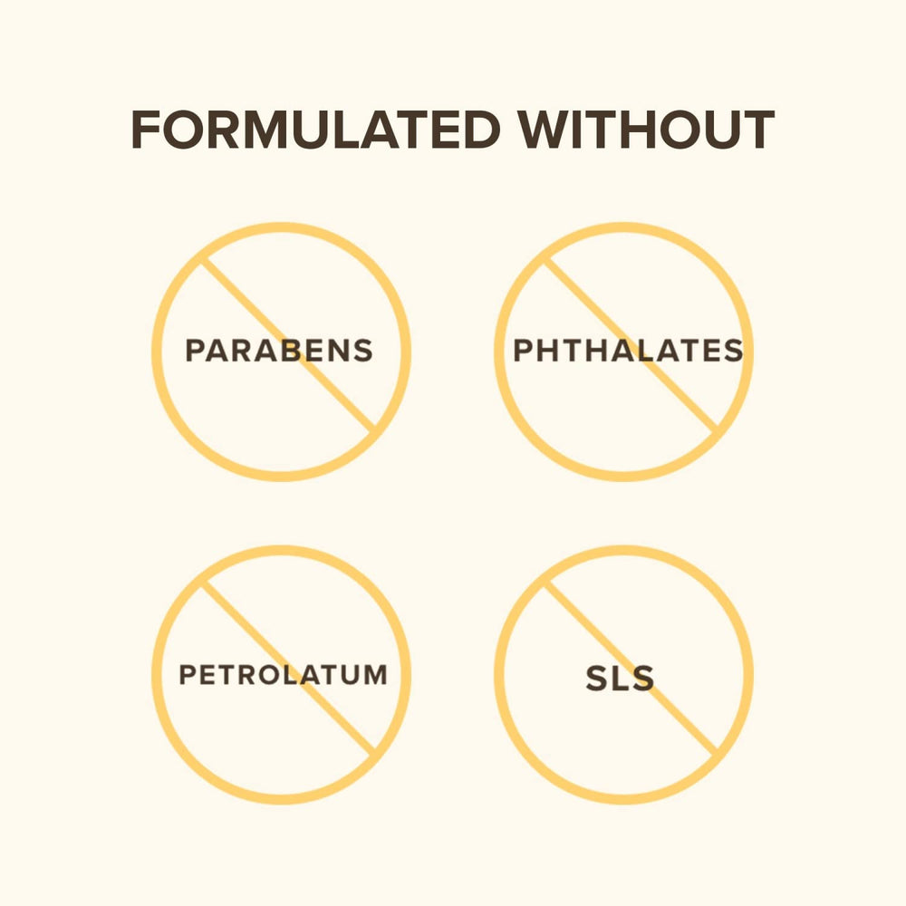 Burt's Bees 4-pack gift-ready presentation for thoughtful skincare.