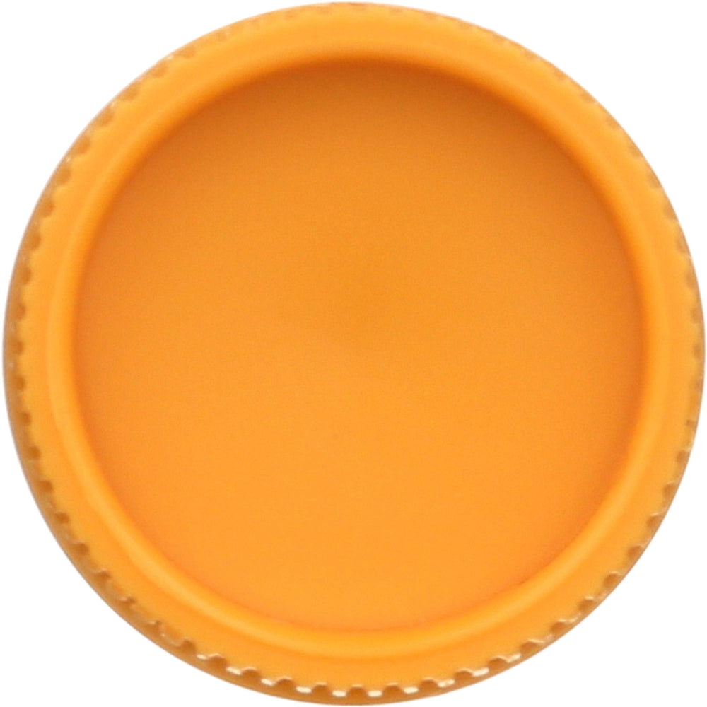 0.15 oz Burt's Bees lip balm tube shown for compact travel use.
