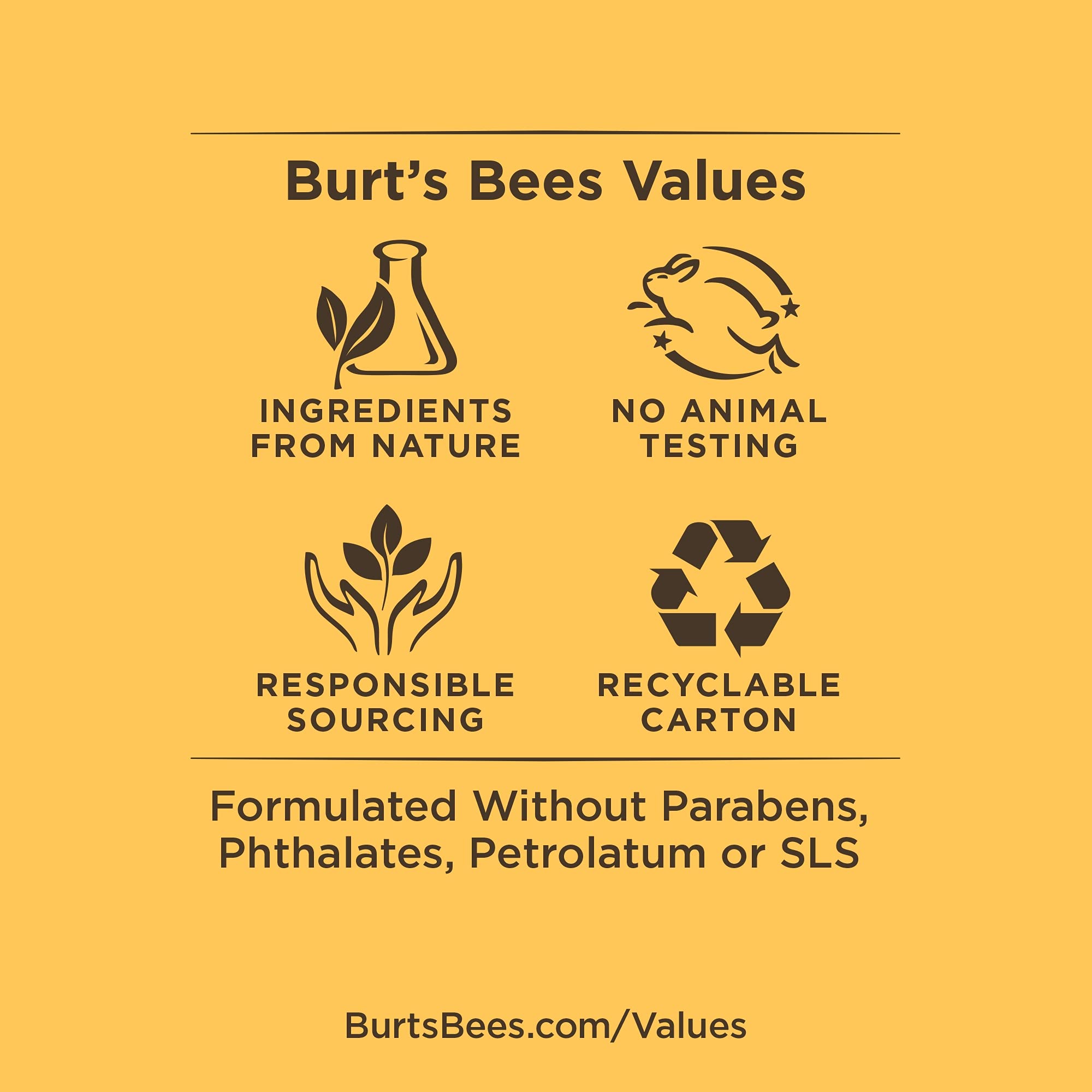 Burt's Bees beeswax ingredient highlight.
