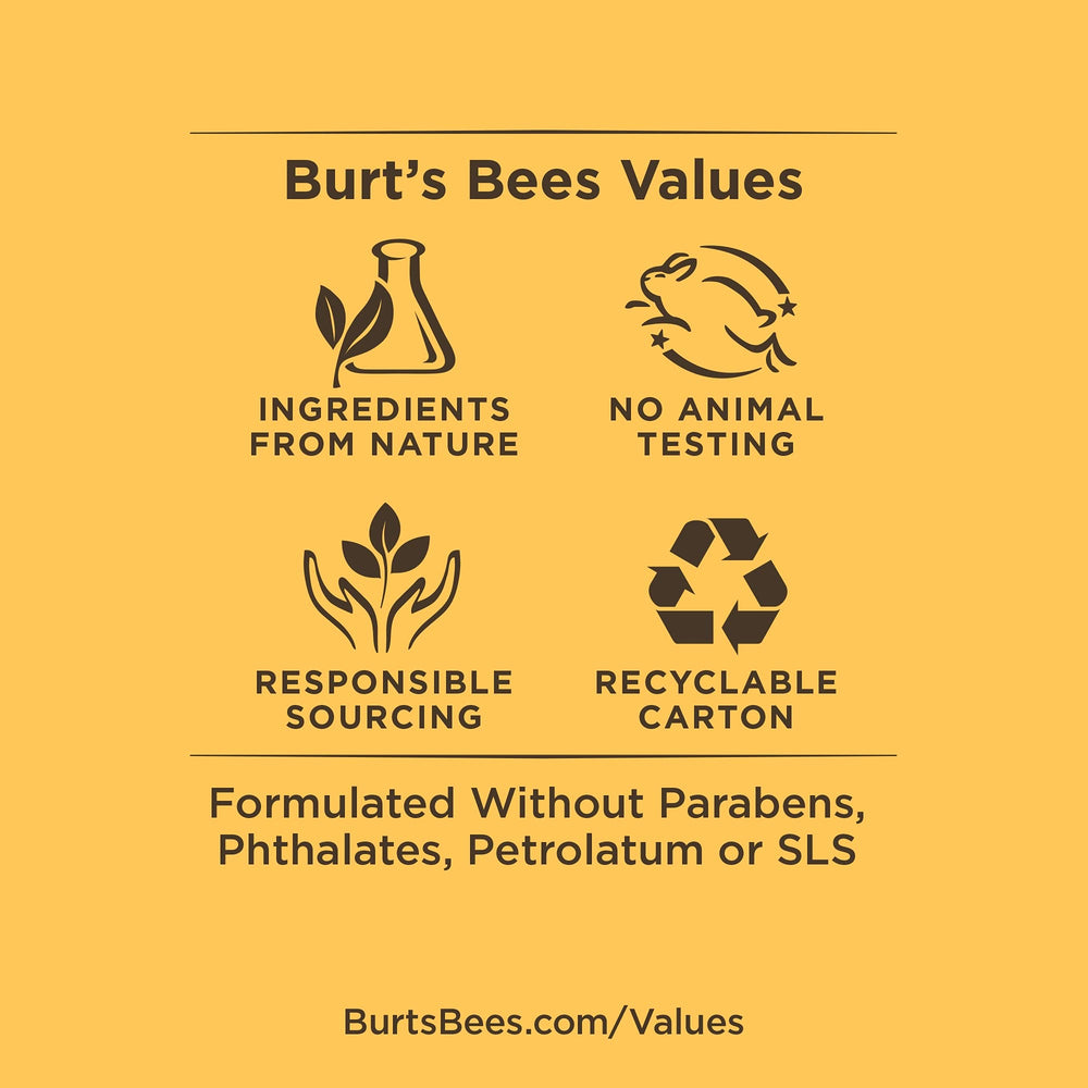 Burt's Bees beeswax ingredient highlight.