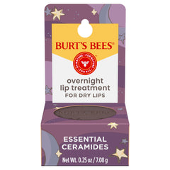 Burt's Bees Overnight Lip Treatment jar close-up showing hydrating formula for overnight care
