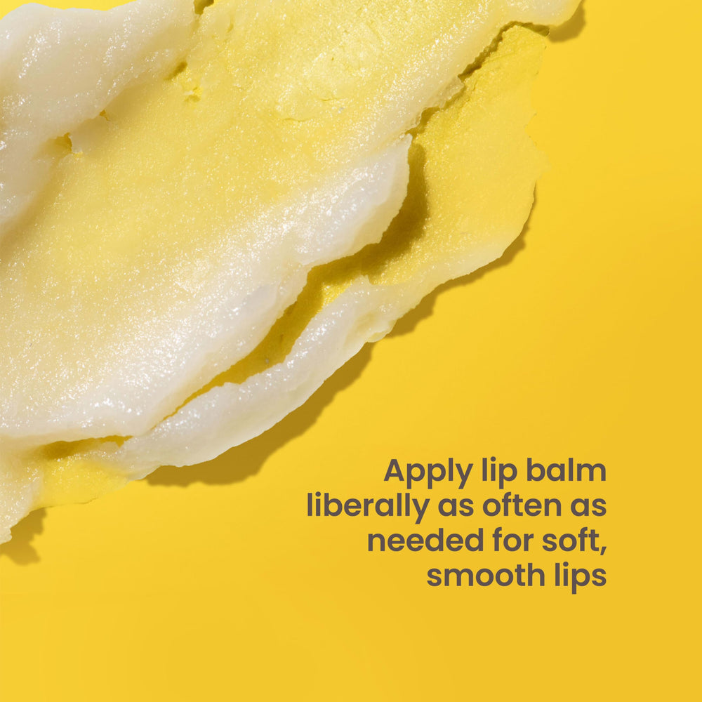 Burt's Bees packaging design signals gift-ready, natural lip care.