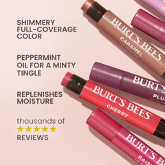 Burt's Bees Shimmer Lip Tint Champagne set looks gift-ready.