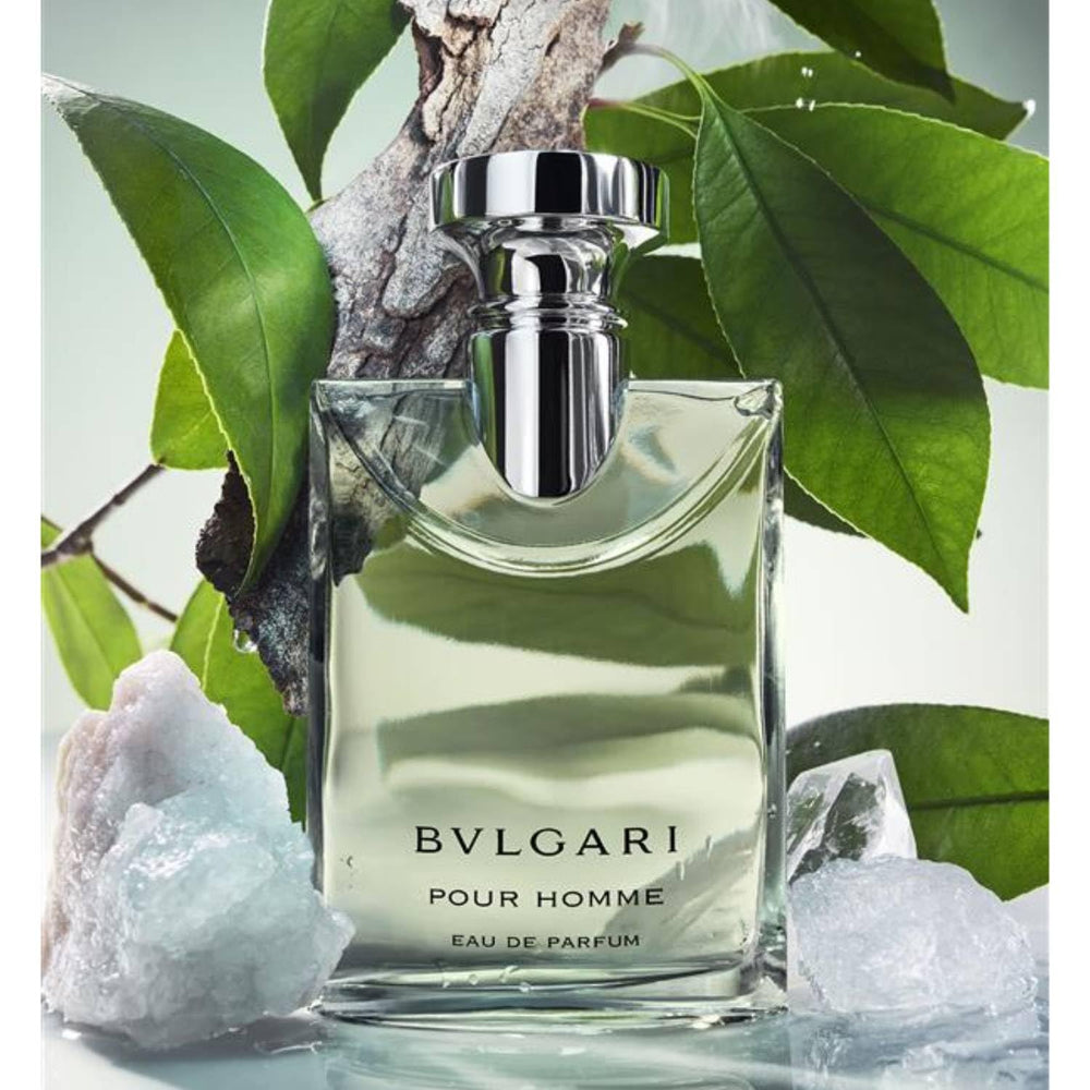 BVLGARI Pour Homme tea notes with Darjeeling highlight daytime sophistication
