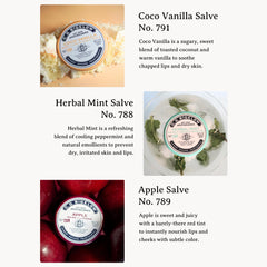 C.O. Bigelow Herbal Mint salve tin offering refreshing care for dry skin.