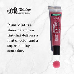 Plum Mentha Lip Tint Trio purple gloss close-up with peppermint oil for refreshing shine.