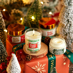 CADDISE beef tallow cream jar emphasized for nourishing body care