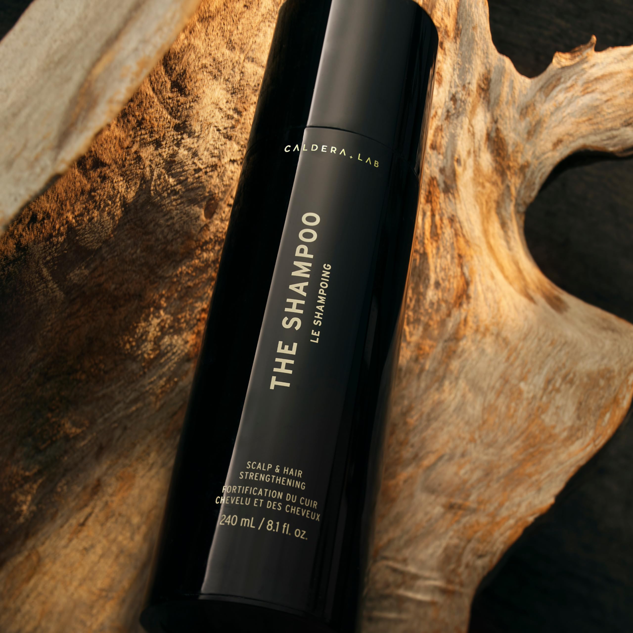 Caldera + Lab complete hair care system — fuller, healthier-looking hair over time.