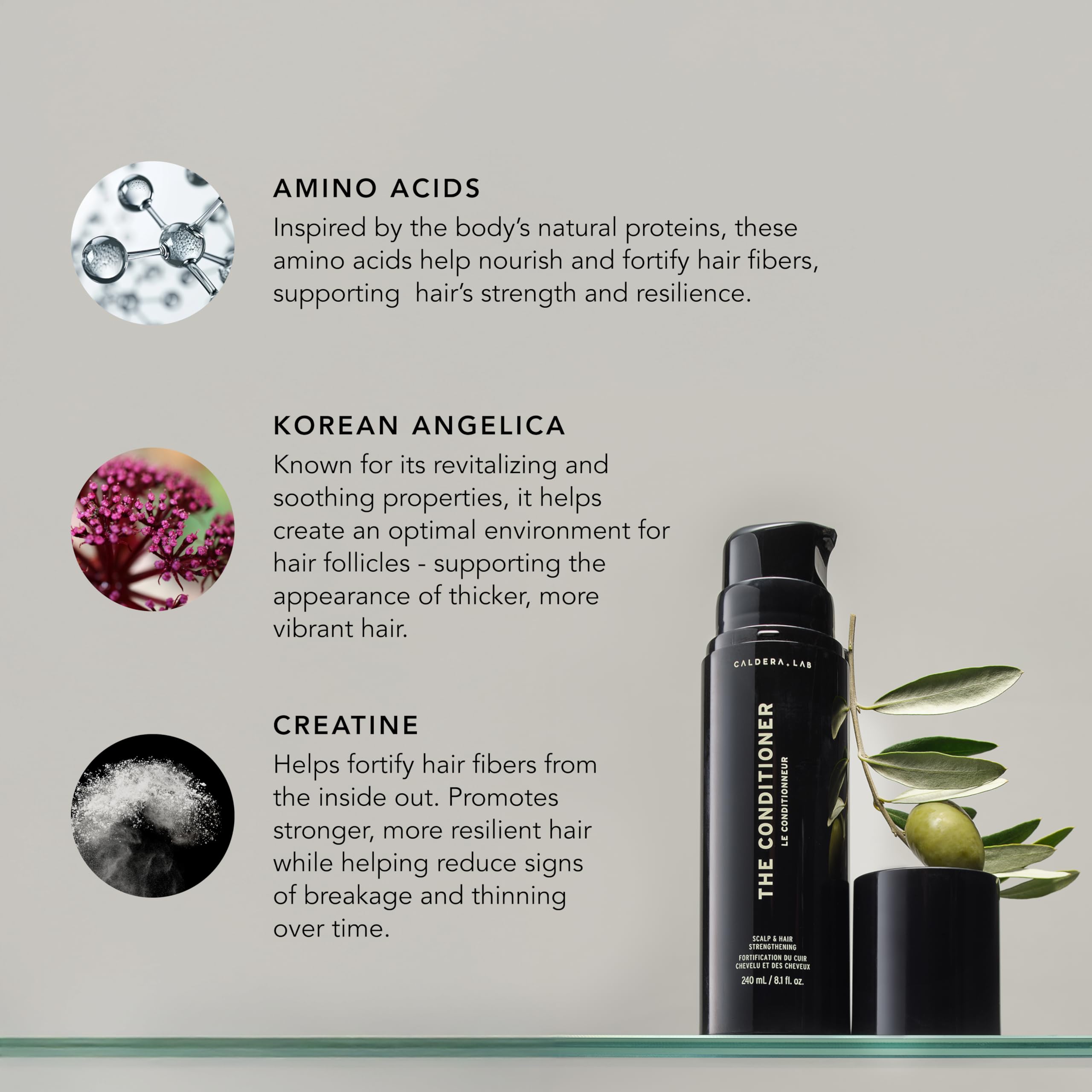 Caldera + Lab conditioner green tea leaf extract image, emphasizing moisture and scalp balance.