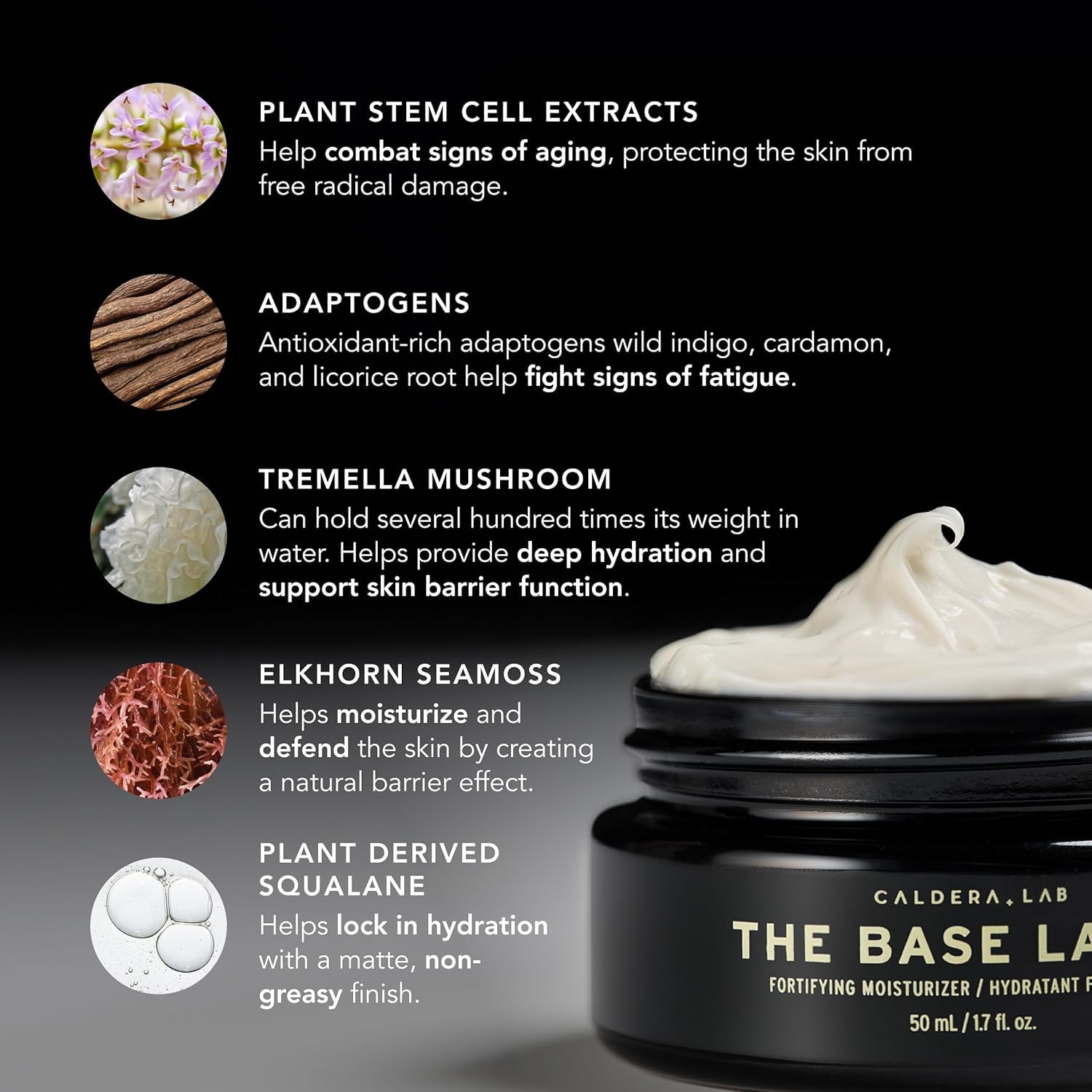 Caldera + Lab Regimen Rich AM PM steps demonstration