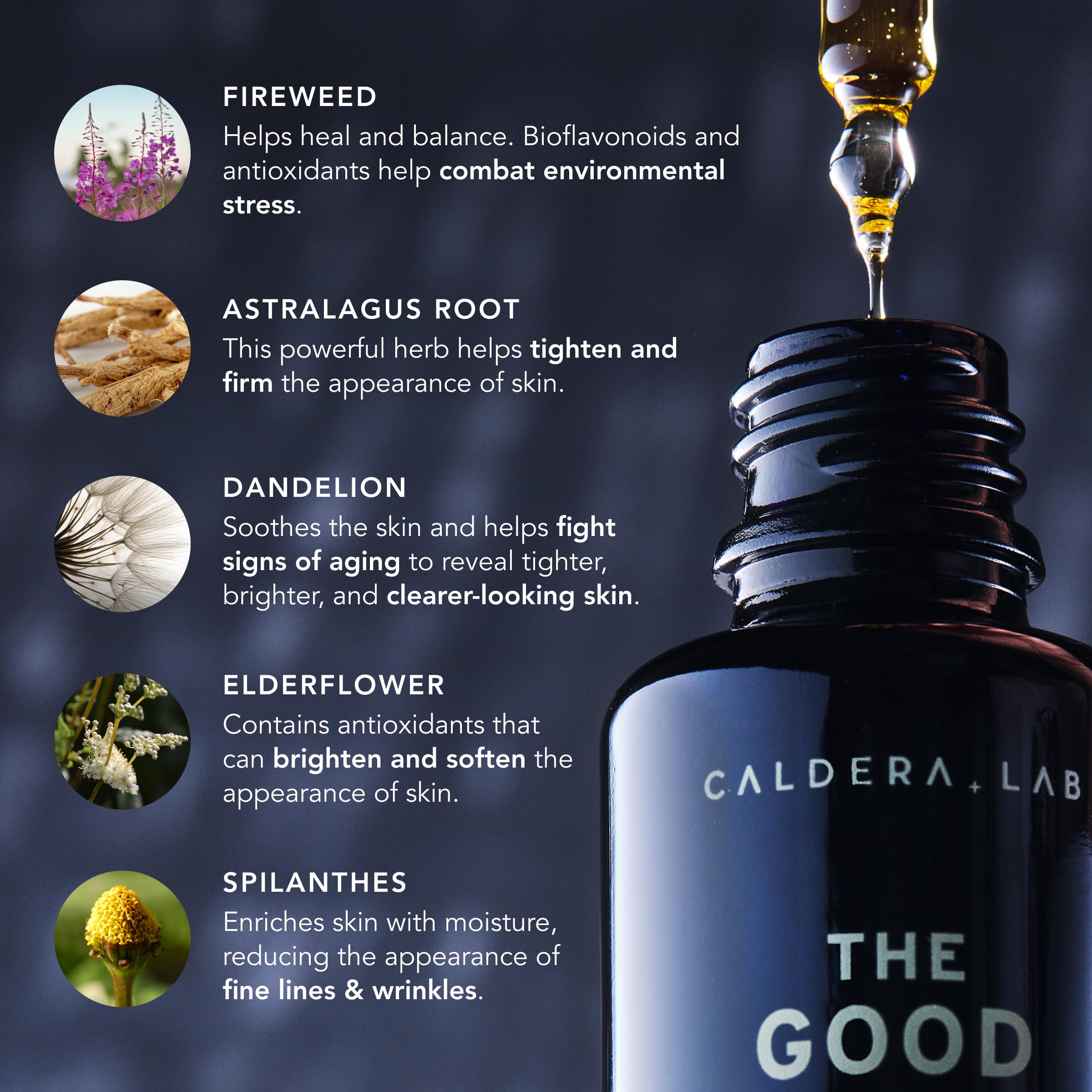 Caldera + Lab The Good Fireweed and CoQ10 close-up signals antioxidant-rich formula.