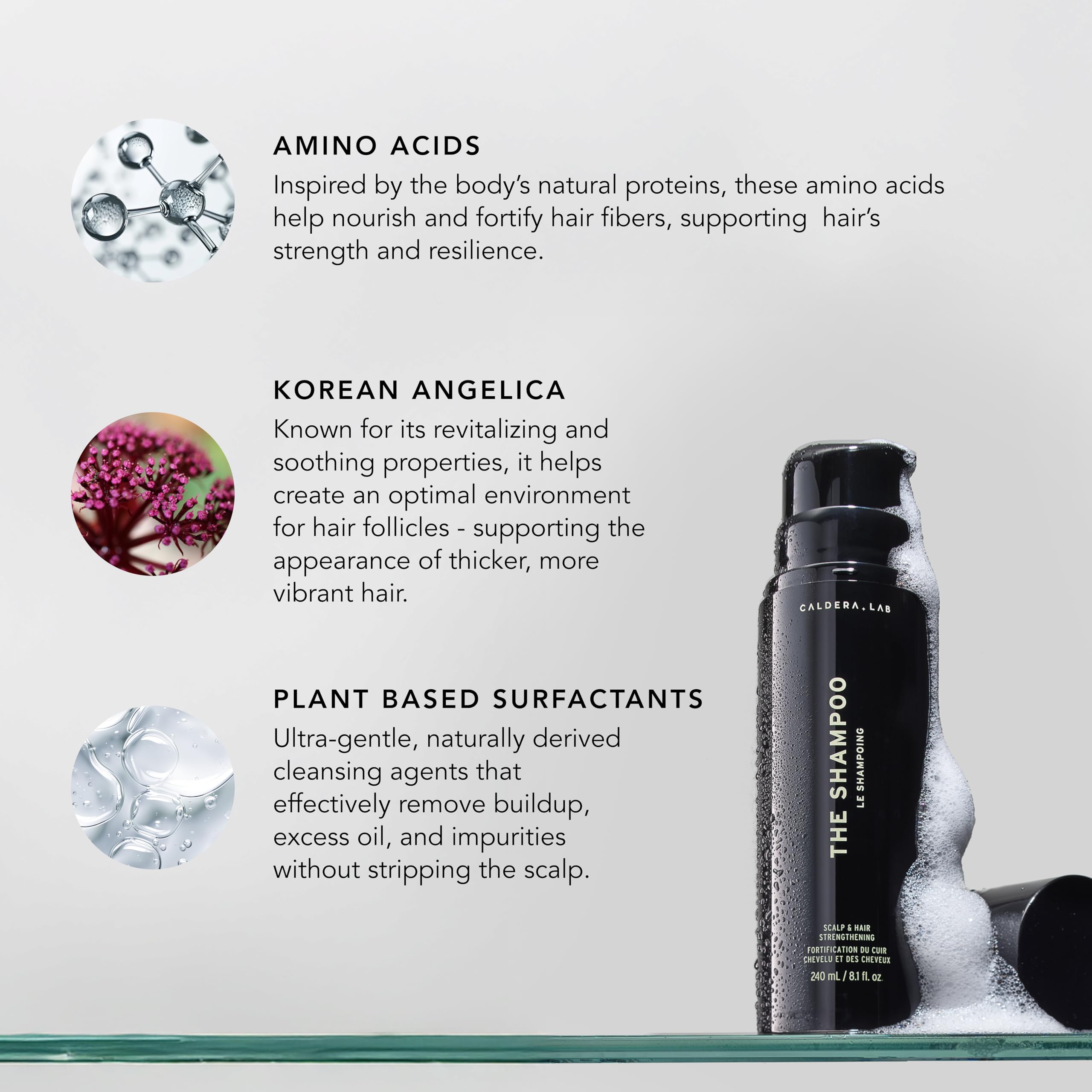 Caldera + Lab The Shampoo packaging close-up — premium, dermatologically tested identity.