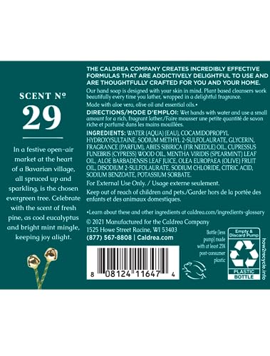 Caldrea hand soap ingredients closeup highlights aloe vera and olive oil for gentle conditioning