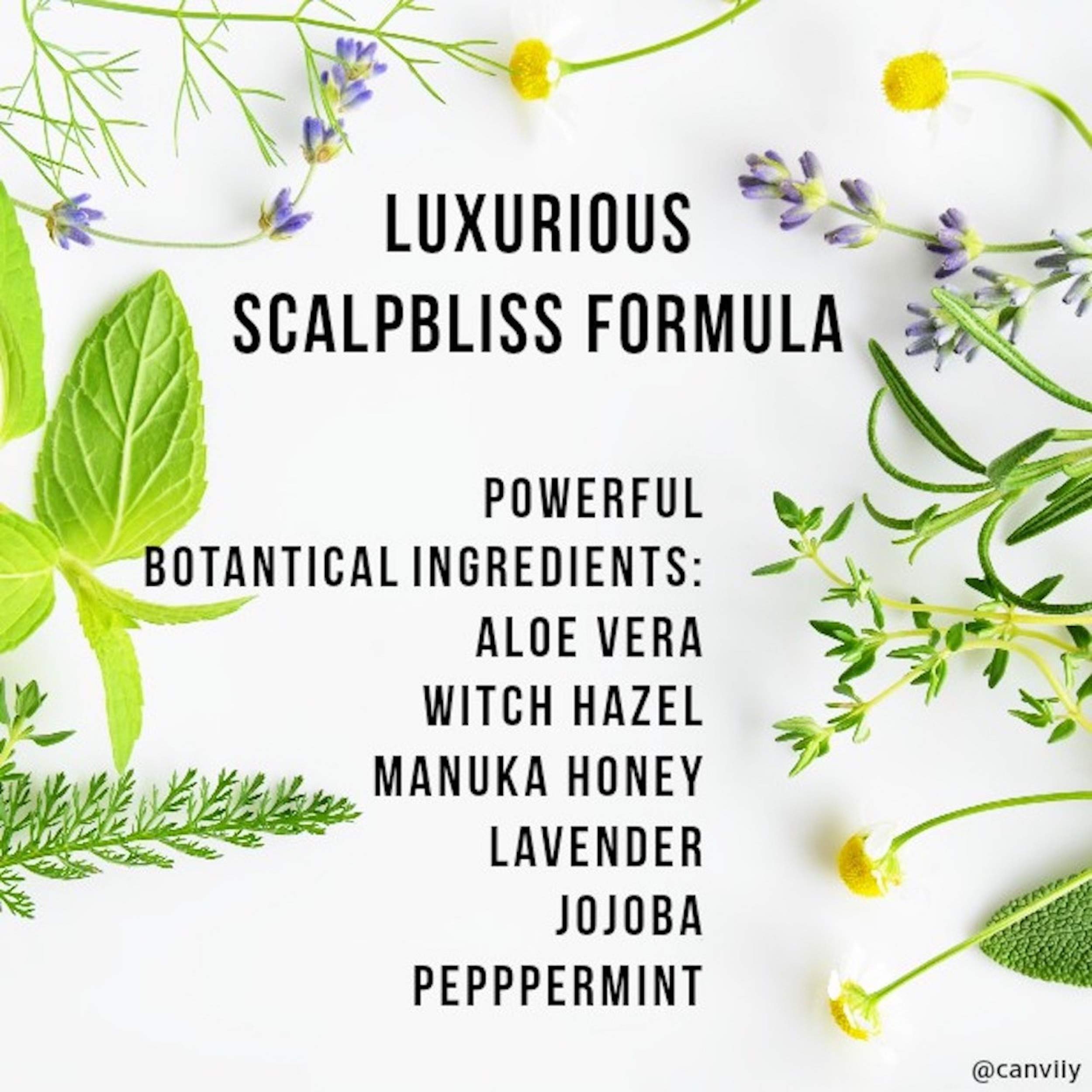Canviiy ScalpBliss hand-application image highlighting massage-friendly serum.