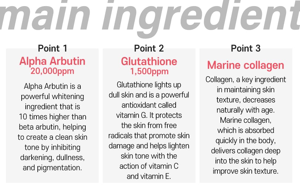 CARE:NEL daily-skincare-routine setup shows morning and evening use.