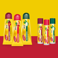 Carmex Wintergreen lip balm tube highlights cooling flavor and daily sun protection.