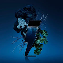 Carolina Herrera Bad Boy Cobalt Electrique packaging box highlighting premium design.