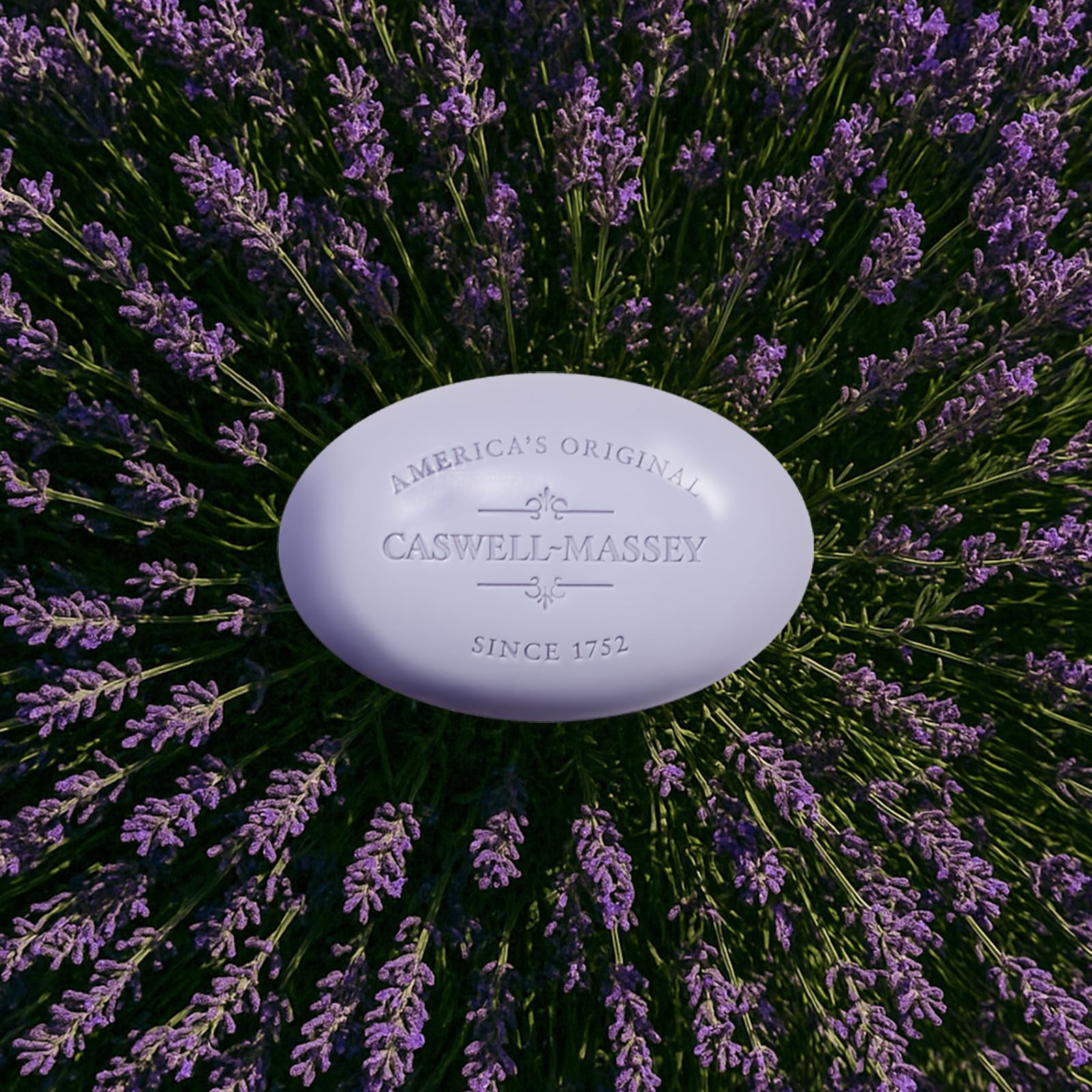 Caswell-Massey Lavender Bar Soap triple-milled texture close-up revealing luxury.