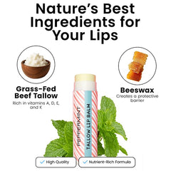 Cattle Creek Mercantile lip balm ingredients: grass-fed tallow, beeswax, coconut oil, jojoba
