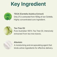 Centellian 24 Madeca Powder Tea Tree AC dual-pack display emphasizes value for oil-control routines.